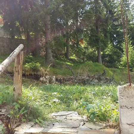 度假居 Vikendica Vucko, 弗拉西克