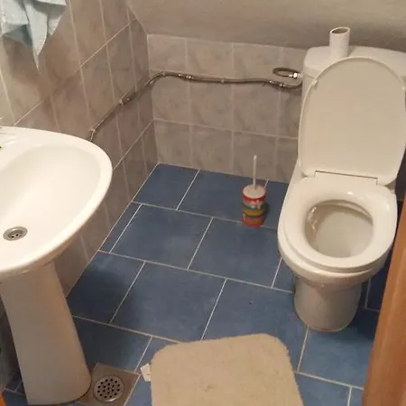 度假居 Vikendica Vucko, 弗拉西克